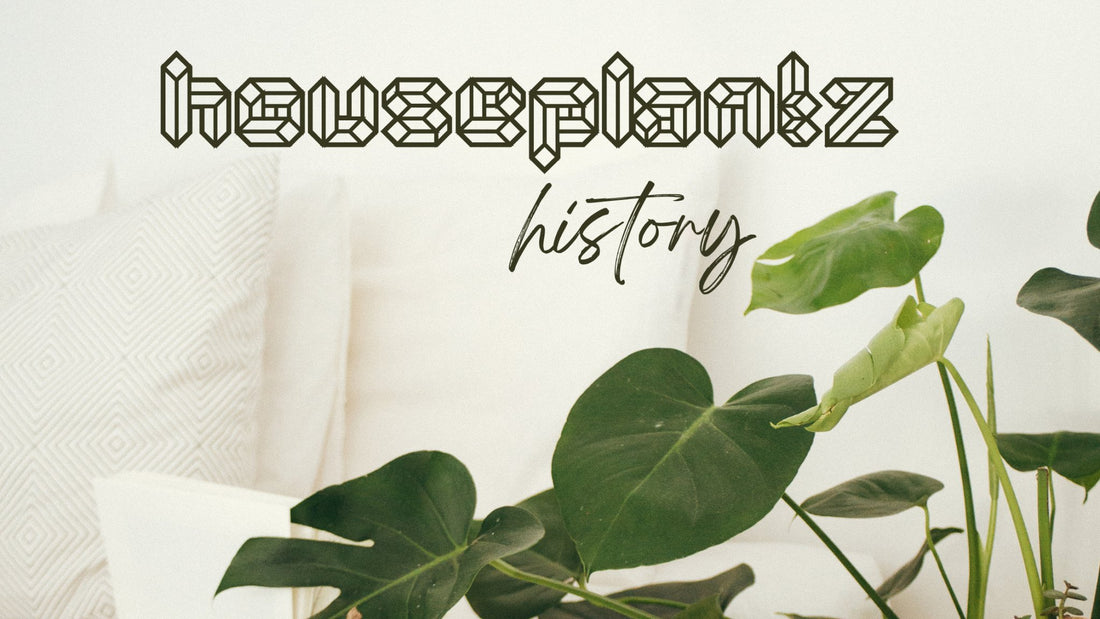 The History of Houseplants - Groovy Boardz