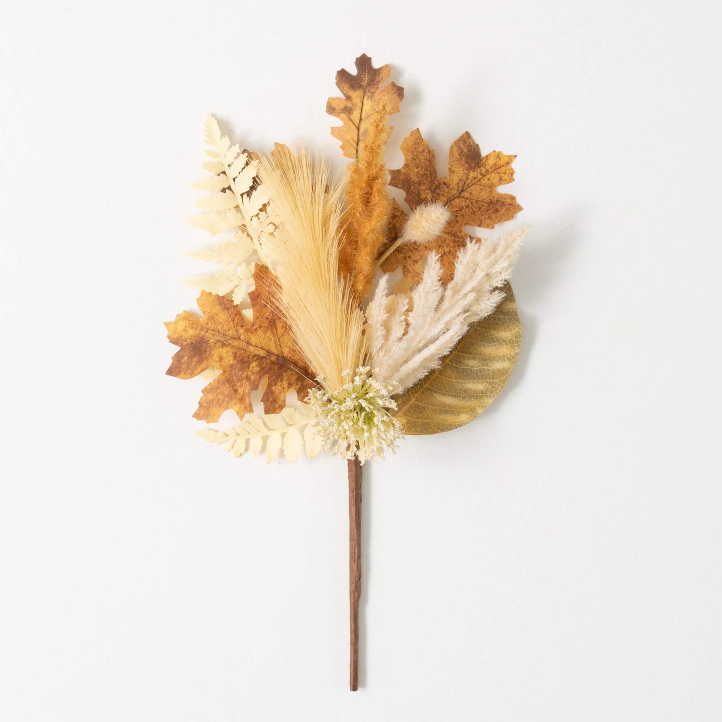 Dried Pampas Grass Stem