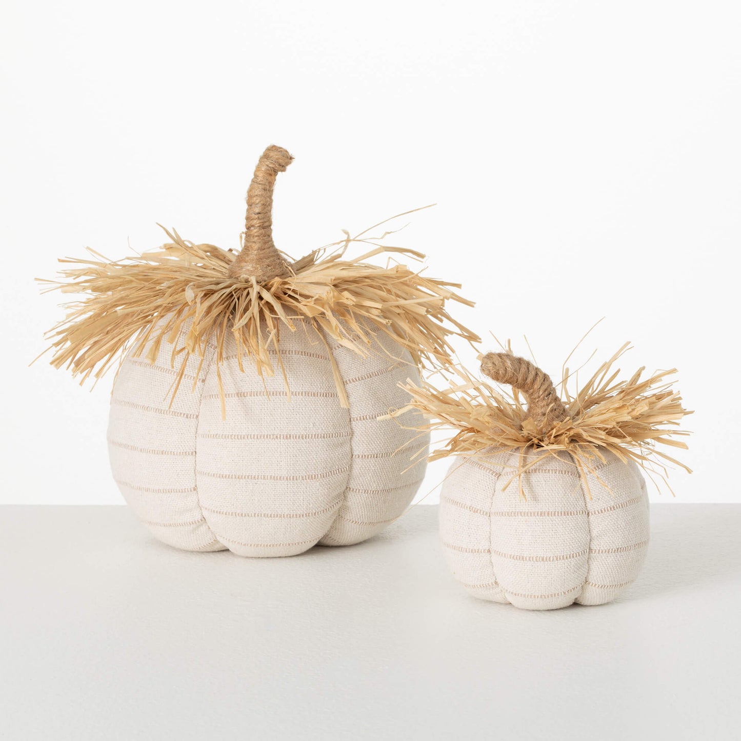 Plush Pumpkin Raffia Set