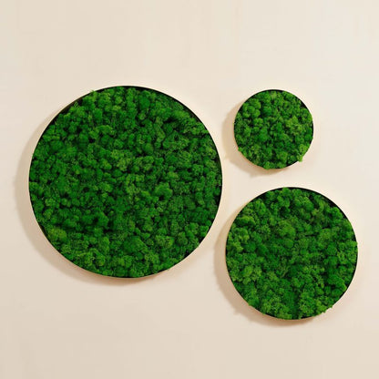 Round Framed Moss Wall Decor, only the Large pc