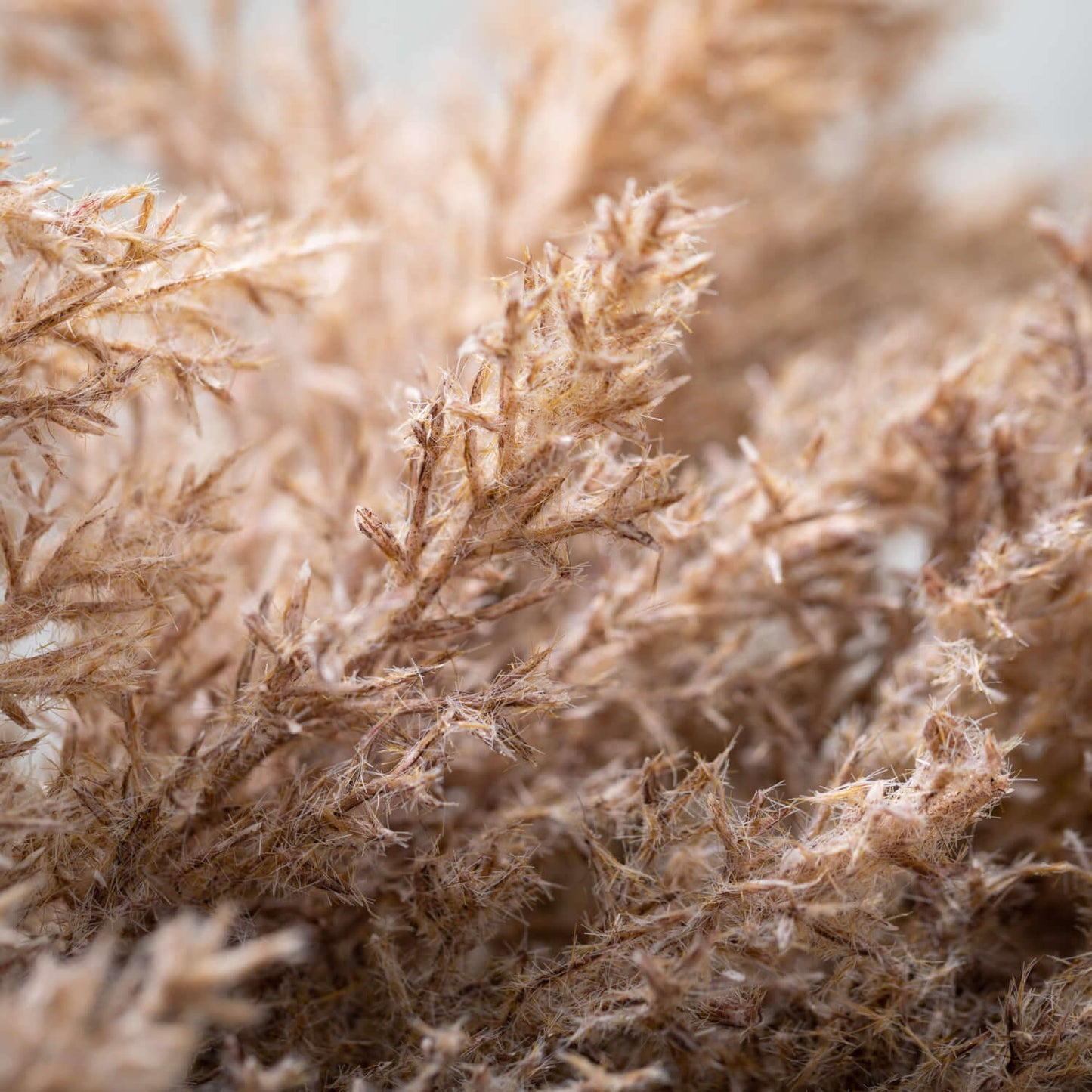 Brown Reed Wreath