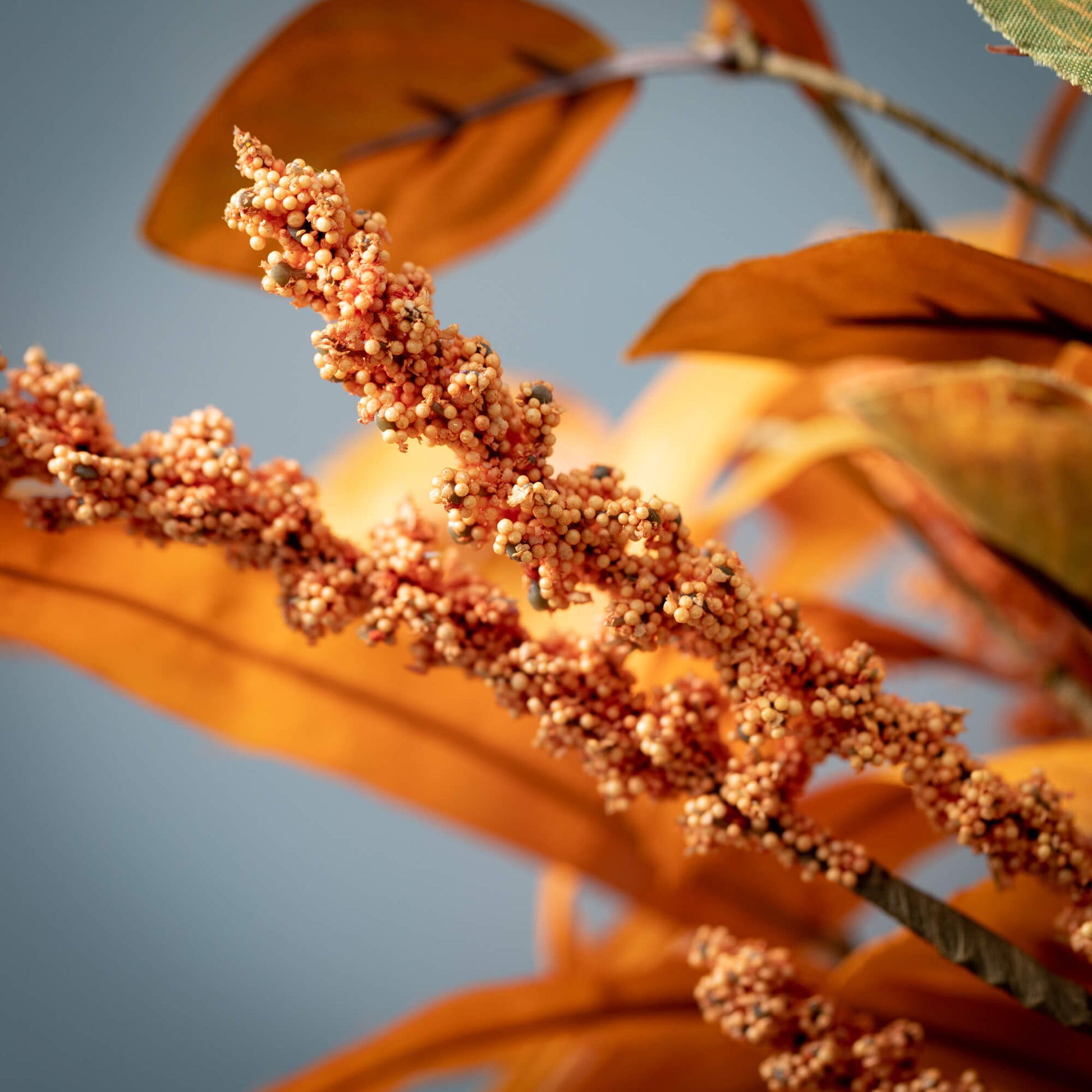 Fall Leaf and Seed Spray