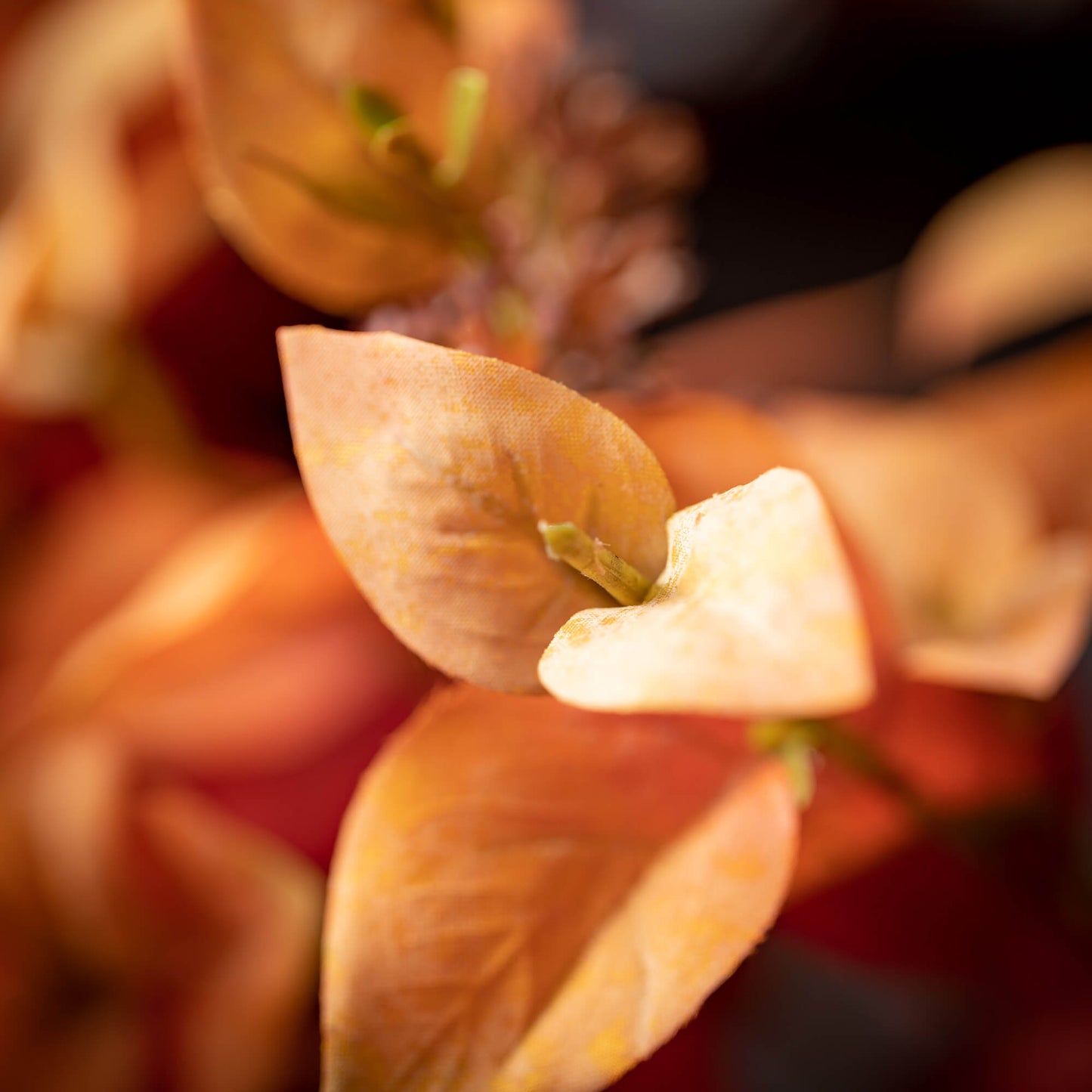 Fall Mixed Eucalyptus Wreath