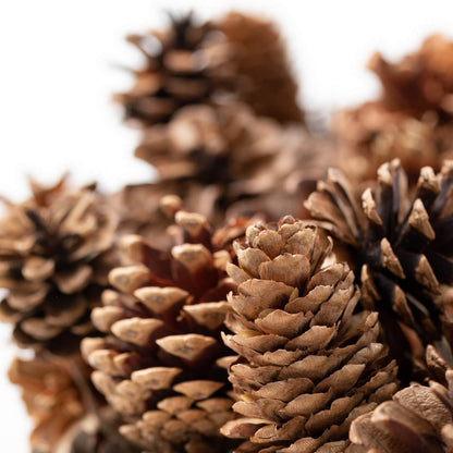 Large Brown Pinecone Wreath