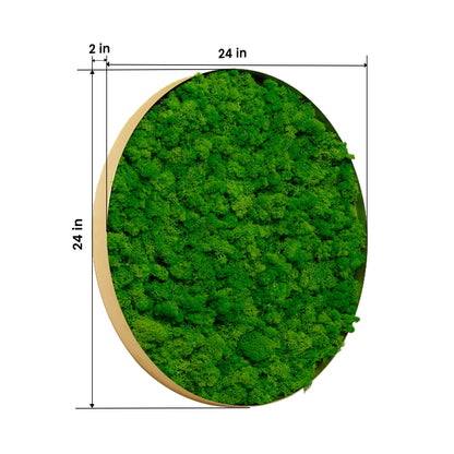 Round Framed Moss Wall Decor, only the Large pc