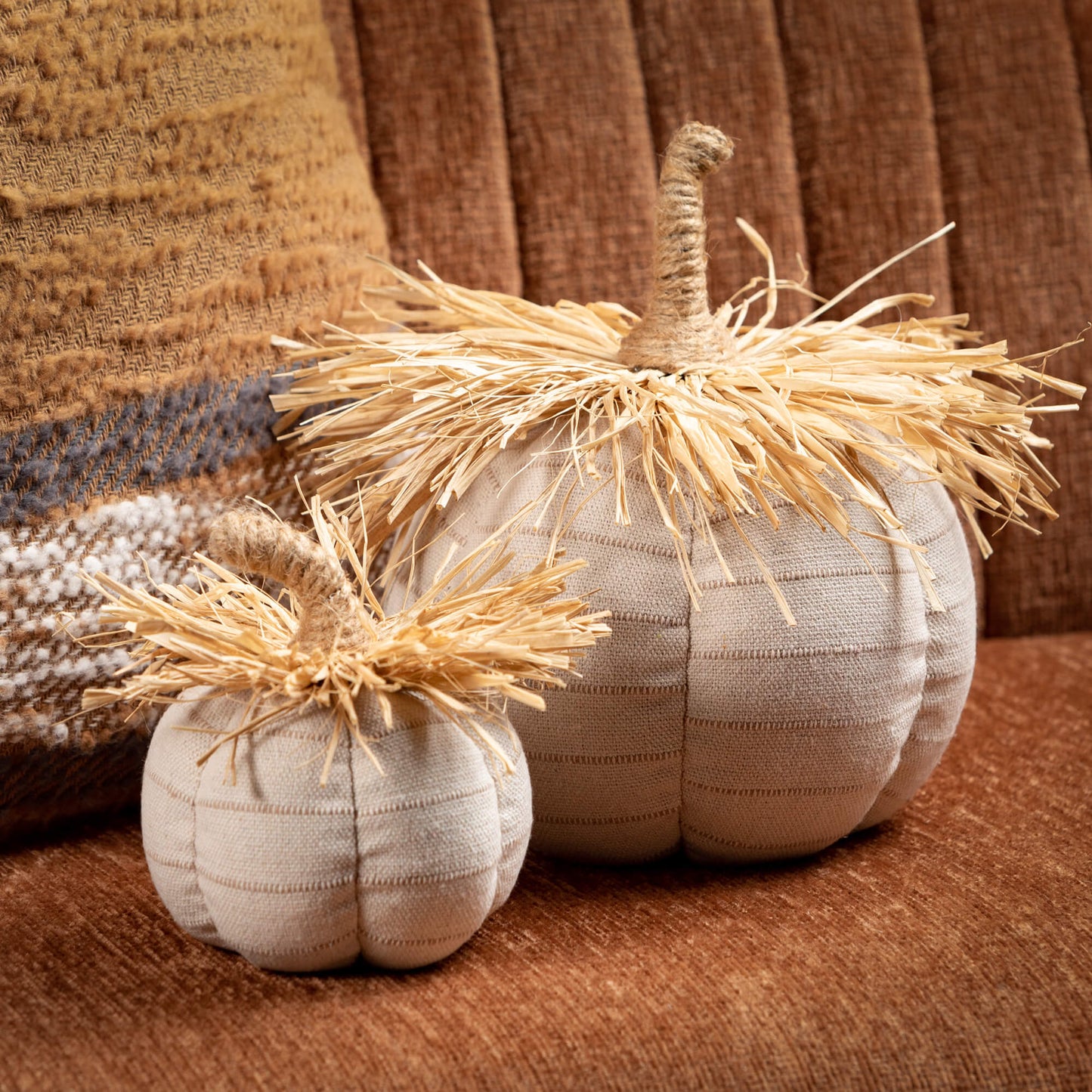 Plush Pumpkin Raffia Set