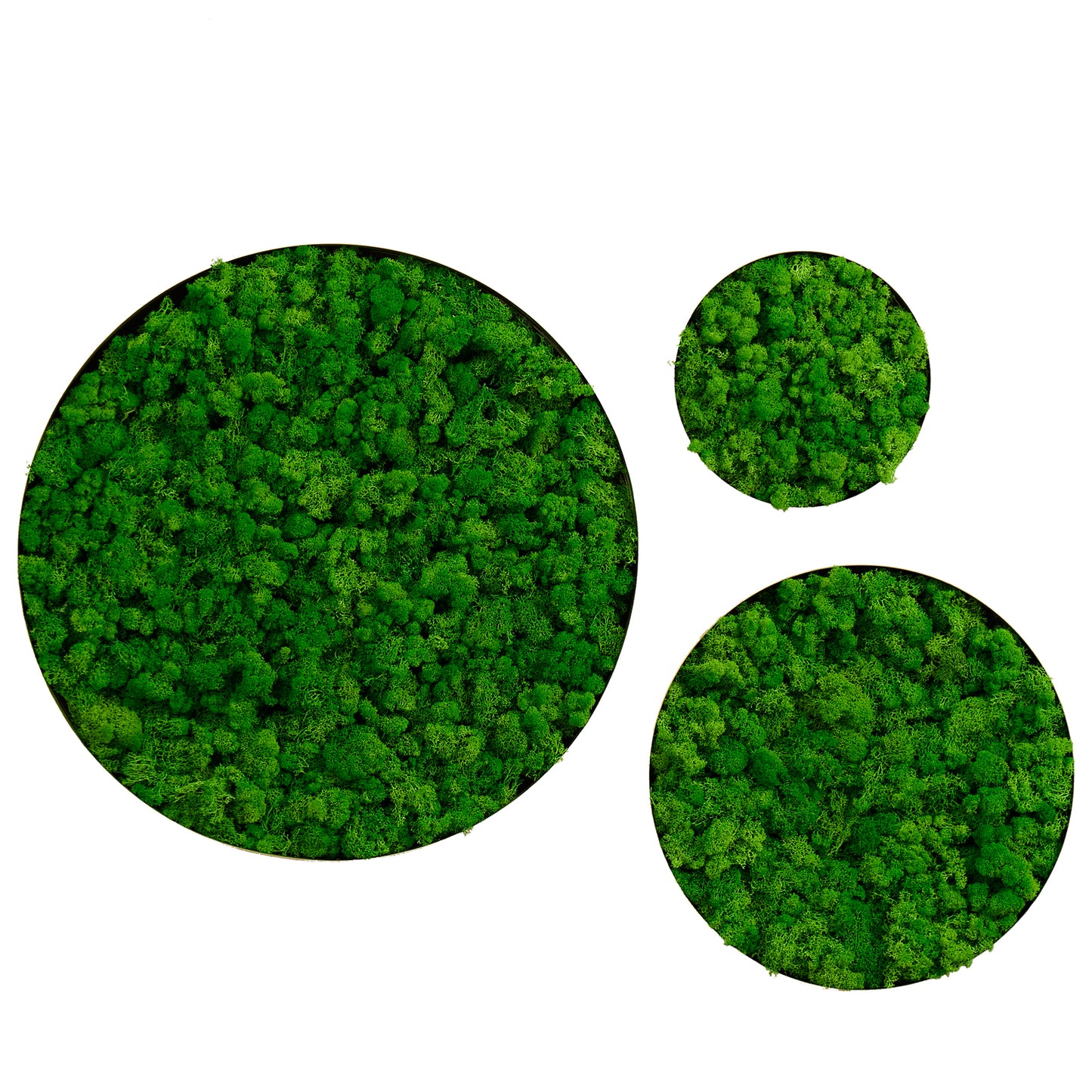 Round Framed Moss Wall Decor, only the Large pc