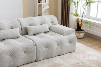 Large Size 2 Seater Sofa, Pure Foam Comfy Sofa Couch, Modern Lounge Sofa for Living Room, Apartment