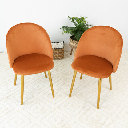 Marion Mid Century Modern Dining Chair (Set of 2)