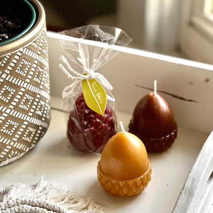 Scented Acorn Candle Set