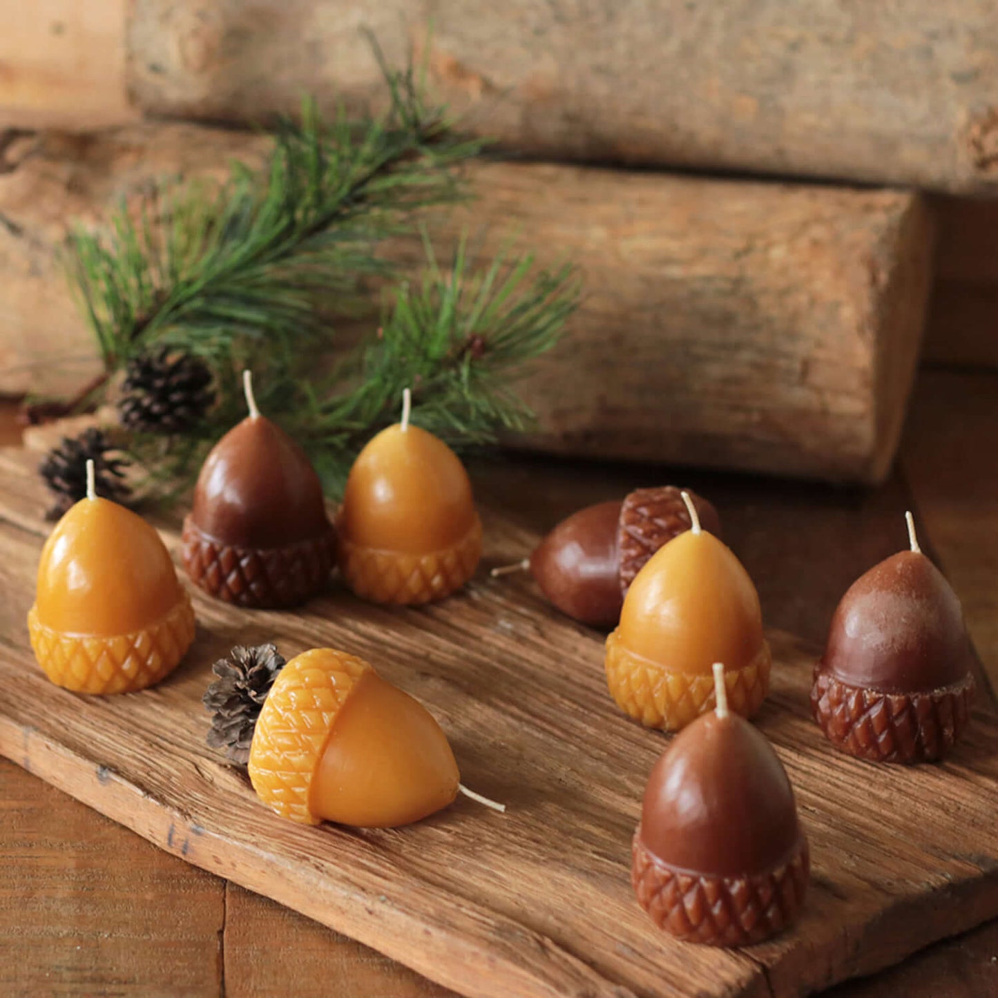 Scented Acorn Candle Set