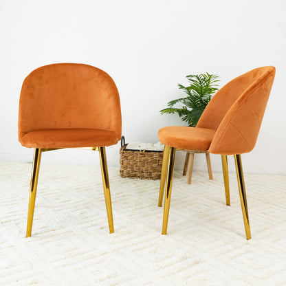 Marion Mid Century Modern Dining Chair (Set of 2)