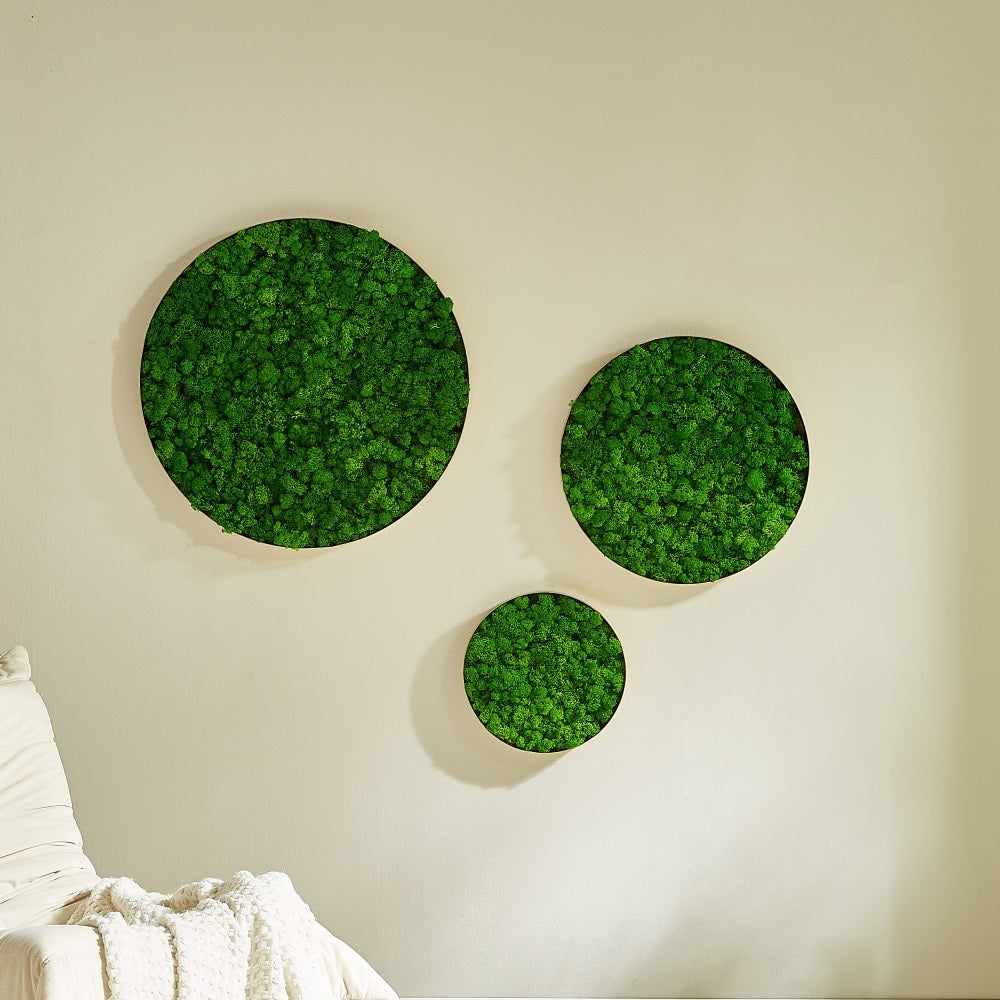 Round Framed Moss Wall Decor, only the Large pc