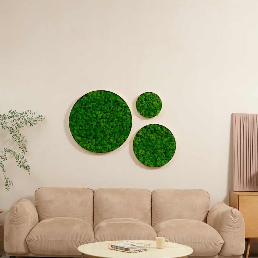 Round Framed Moss Wall Decor, only the Large pc