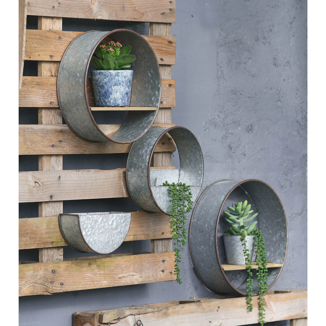 Farmhouse Round Metal Wall Planter, 5 Piece