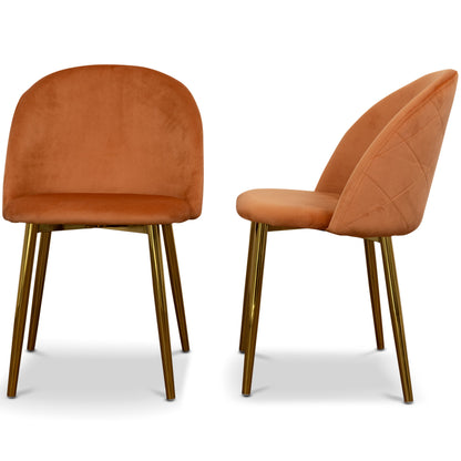 Marion Mid Century Modern Dining Chair (Set of 2)