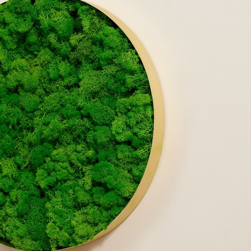 Round Framed Moss Wall Decor, only the Large pc