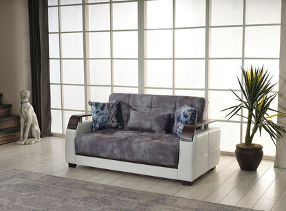 Reginaldo Modern Sleeper Loveseat For Living Room